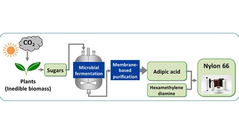  Adipic Acid: Un pilastro fondamentale per le poliammidi e la produzione di plastificanti!