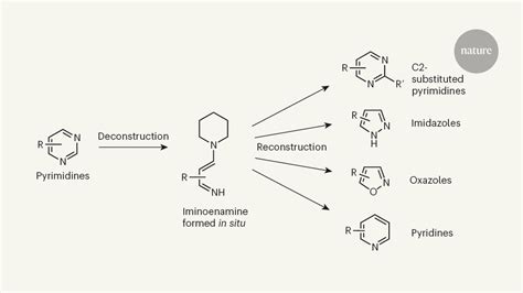 Benzilidene Acetato: Un Catalizzatore Efficiente per la Sintesi di Composti Organici Completti!