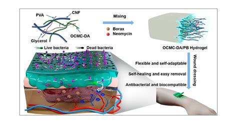  Biocompatibility Beyond Imagination: Exploring Bacterial Cellulose for Medical Implants and Biocompatible Textiles