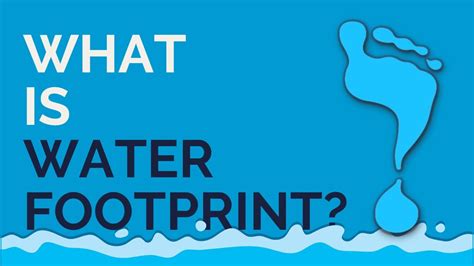 footprint 뜻: 발자국이 남긴 이야기, 그 의미를 찾아서