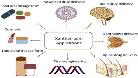  Gum Arabic Applications In Pharmaceutical Formulation and Edible Film Production!