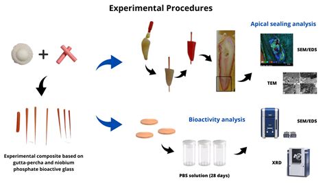  Gutta-Percha per Sistemi di Sigillatura Avanzati e Applicazioni Biomediche!