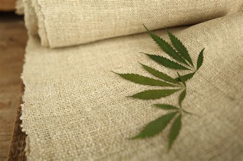  Hemp Fabric:  Unravelling the Sustainable Wonder for Apparel and Beyond!