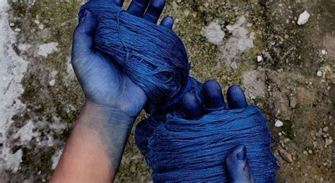  Indigo: Un Colorante Naturale per una Rivoluzione Tessile e un Alleato Preziosissimo per la Biomedicina!