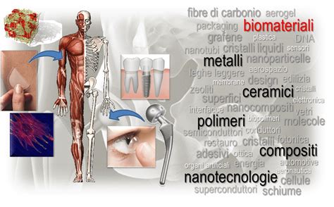  Ketoconazolo: Un Antifungale Per Biomateriali Innovativi?