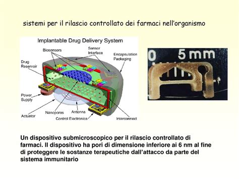  Lactide: Materiale Rivoluzionario per Impianti Protettici e Farmaci a Rilascio Controllato!