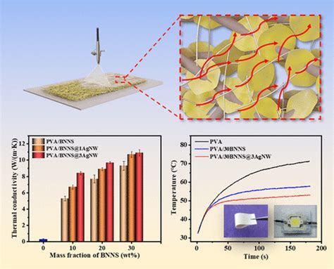  Nanowires di Nitruro di Boro: Un Futuro Brillante per le Batteria e l'Elettronica di Punta?