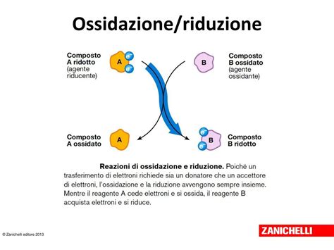 Ossidazione di Ossido Polipropilenico: Un Gigante Silenzioso nella Fabbricazione di Prodotti Resistenti!