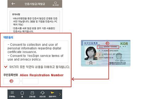 공인인증서 발급, 디지털 시대의 필수품인가?