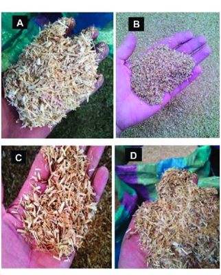  Quinoa Husk: Un'Alternativa Sostenibile per Bioplastiche Resistenti e Biodegradabili?