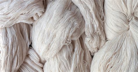 Viscose: La Fibra Sintética che Abbraccia la Natura e la Moda!