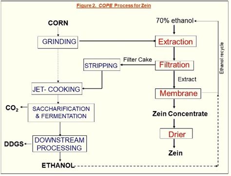  Zein: La Proteina di Mais per un Futuro Sostenibile nell'Industria Tessile!